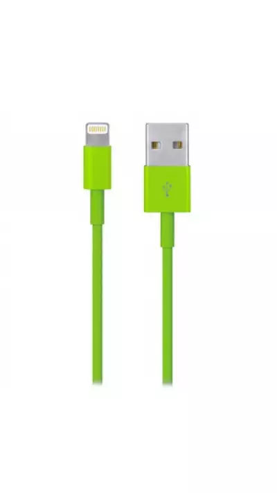 Câble iPhone (1 m) Lightning vers USB-A - Vert