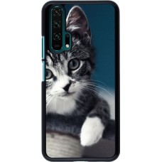 Hülle Honor 20 Pro - Meow 23