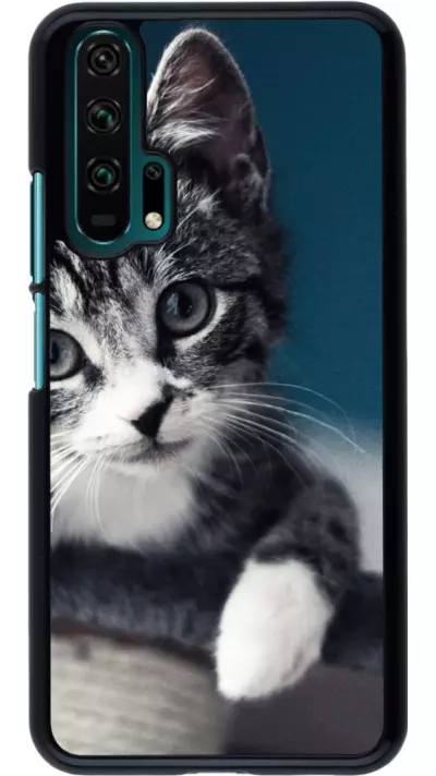 Coque Honor 20 Pro - Meow 23