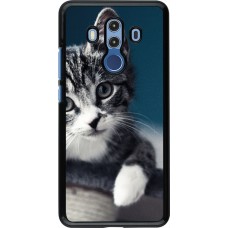Hülle Huawei Mate 10 Pro - Meow 23