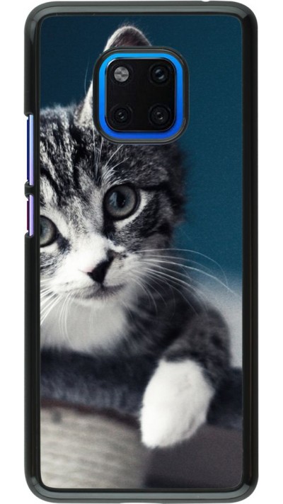 Coque Huawei Mate 20 Pro - Meow 23