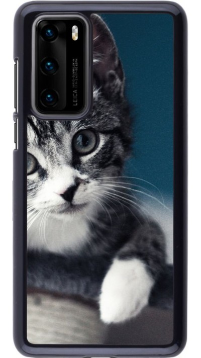 Coque Huawei P40 - Meow 23
