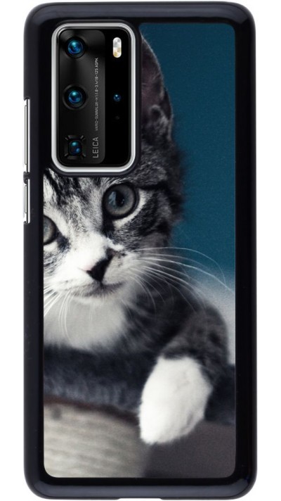 Coque Huawei P40 Pro - Meow 23