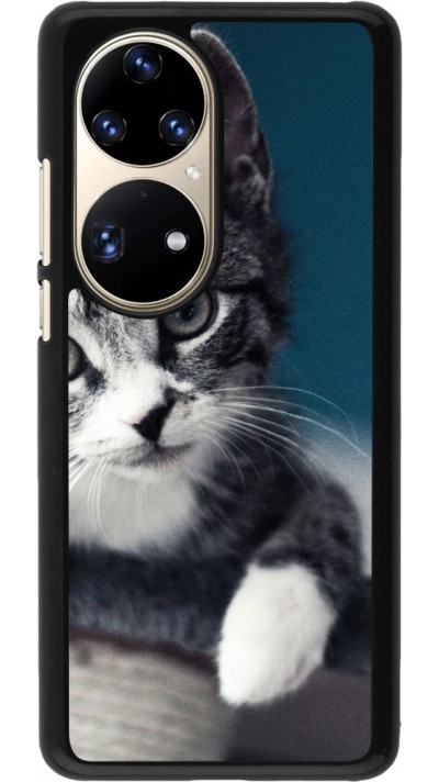 Coque Huawei P50 Pro - Meow 23