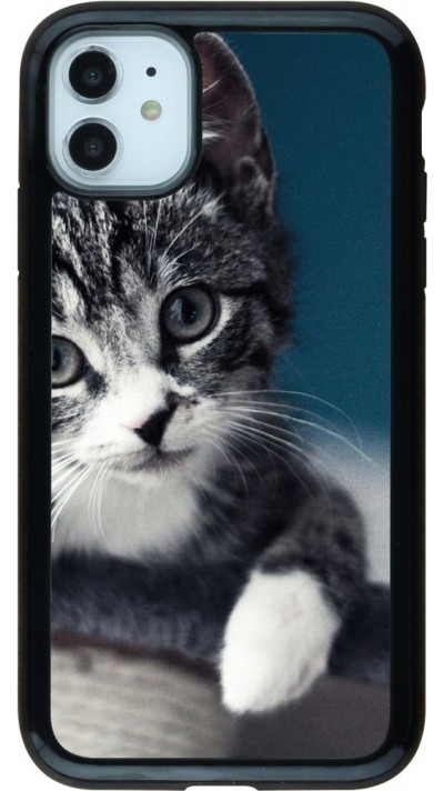 Coque iPhone 11 - Hybrid Armor noir Meow 23