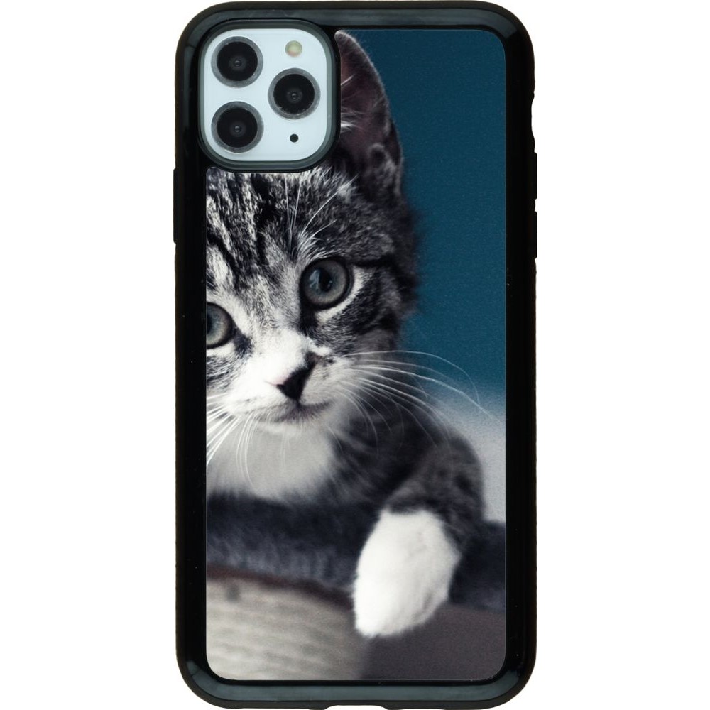 Coque iPhone 11 Pro Max - Hybrid Armor noir Meow 23