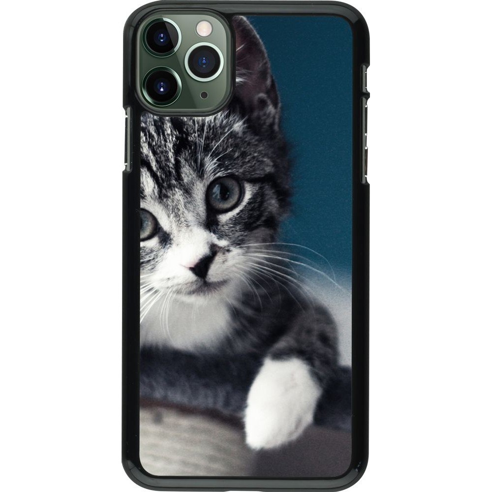 Coque iPhone 11 Pro Max - Meow 23