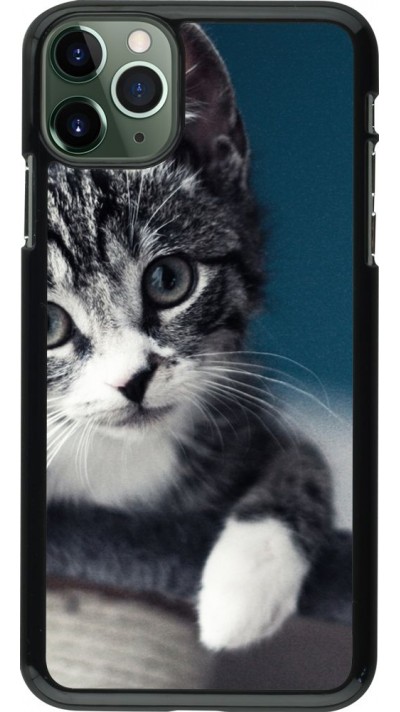 Coque iPhone 11 Pro Max - Meow 23