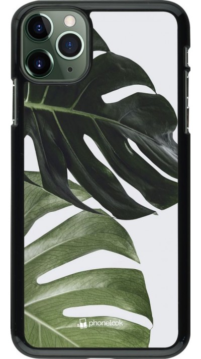 Coque iPhone 11 Pro Max - Monstera Plant