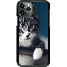 Coque iPhone 11 Pro - Meow 23