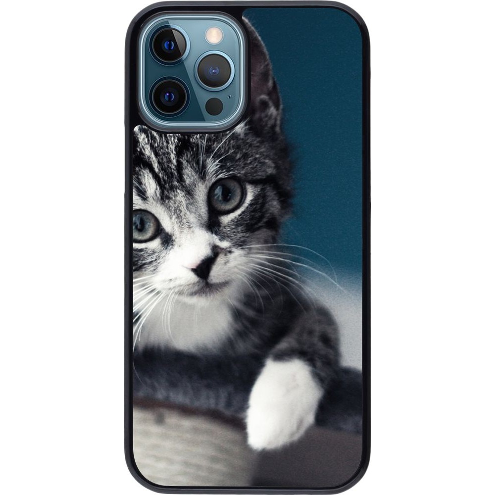 Coque iPhone 12 / 12 Pro - Meow 23