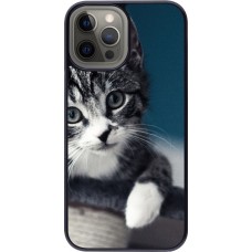Coque iPhone 12 Pro Max - Meow 23