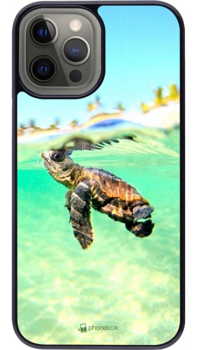 Coque iPhone 12 Pro Max - Turtle Underwater