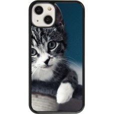 Coque iPhone 13 - Meow 23