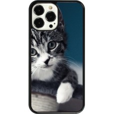iPhone 13 Pro Max Case Hülle - Meow 23