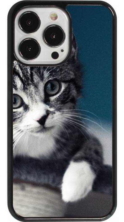Coque iPhone 13 Pro - Meow 23