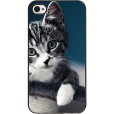Coque iPhone 4/4s - Meow 23