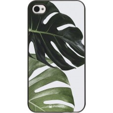 Coque iPhone 4/4s - Monstera Plant