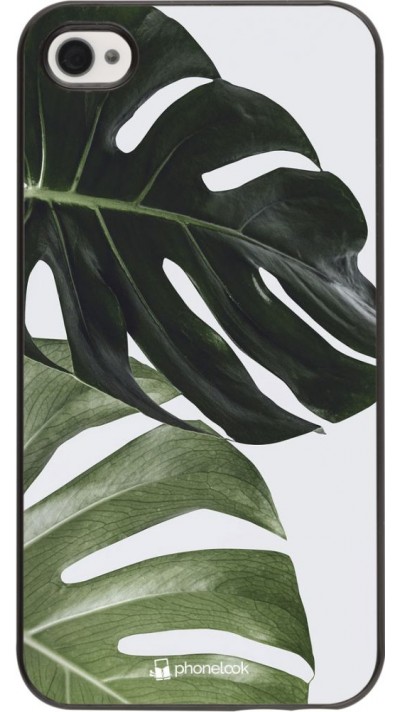 Hülle iPhone 4/4s - Monstera Plant