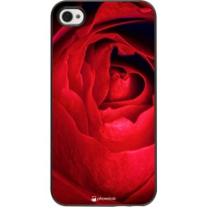 Hülle iPhone 4/4s - Valentine 2022 Rose