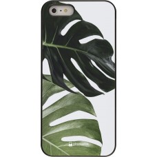 Hülle iPhone 5/5s / SE (2016) - Monstera Plant