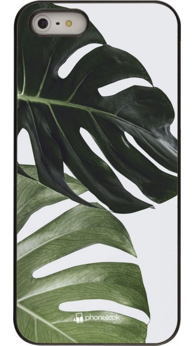 Coque iPhone 5/5s / SE (2016) - Monstera Plant