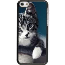 Coque iPhone 5c - Meow 23