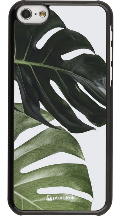 Coque iPhone 5c - Monstera Plant