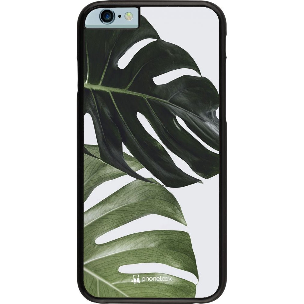 Hülle iPhone 6/6s - Monstera Plant