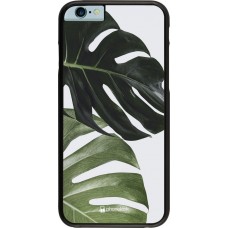 Hülle iPhone 6/6s - Monstera Plant