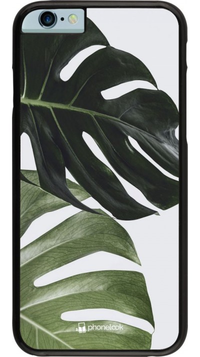 Hülle iPhone 6/6s - Monstera Plant