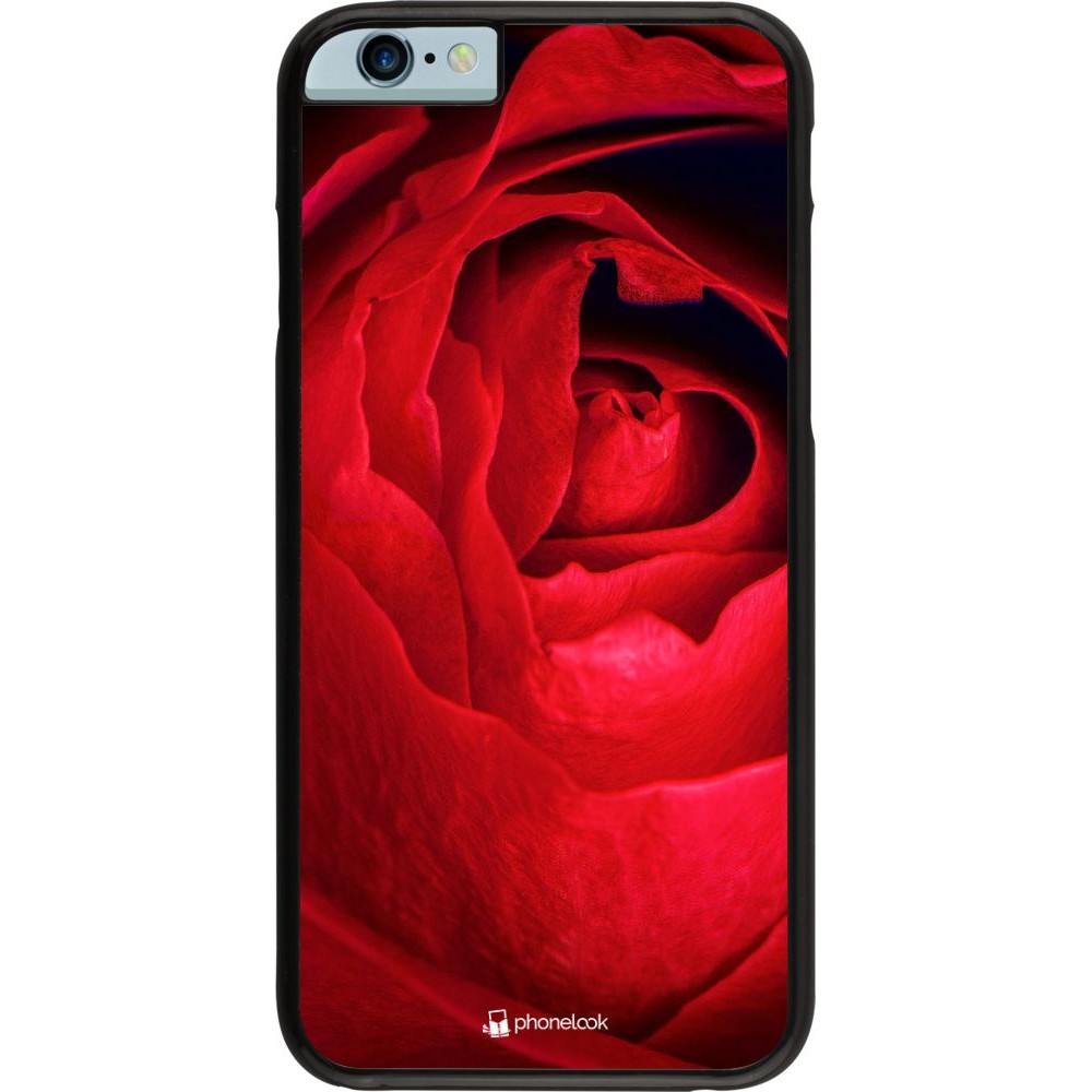 Hülle iPhone 6/6s - Valentine 2022 Rose