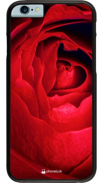 Hülle iPhone 6/6s - Valentine 2022 Rose