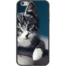 Coque iPhone 6 Plus / 6s Plus - Silicone rigide noir Meow 23