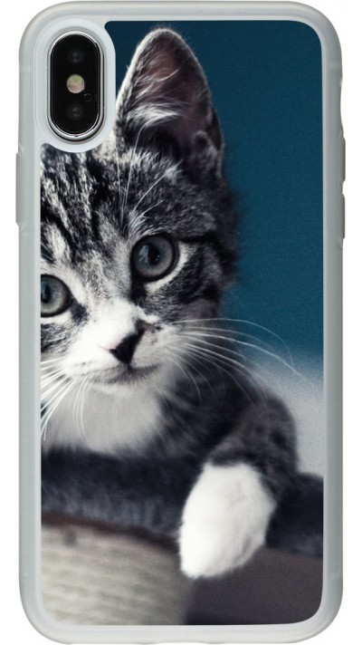 Coque iPhone X / Xs - Silicone rigide transparent Meow 23