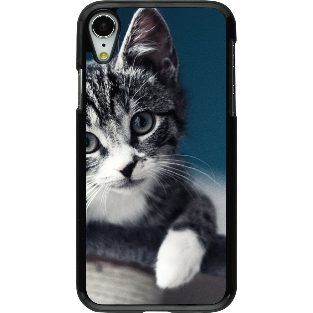 Coque iPhone XR - Meow 23