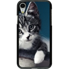 Coque iPhone XR - Meow 23
