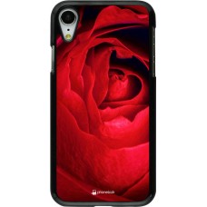 Hülle iPhone XR - Valentine 2022 Rose