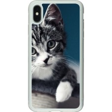 Coque iPhone Xs Max - Silicone rigide transparent Meow 23