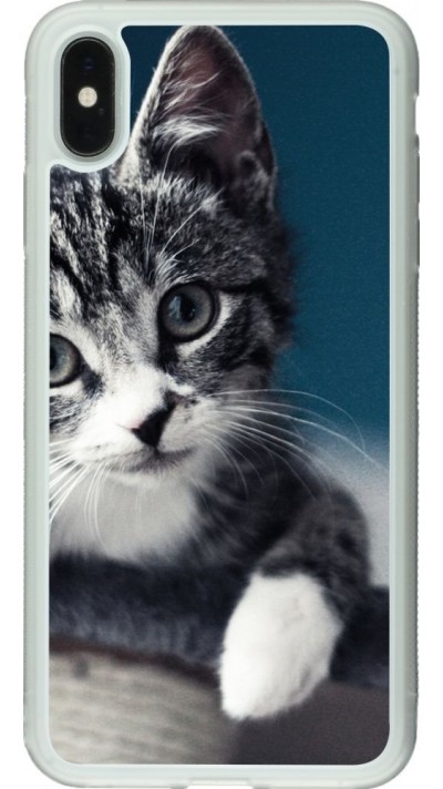 Coque iPhone Xs Max - Silicone rigide transparent Meow 23