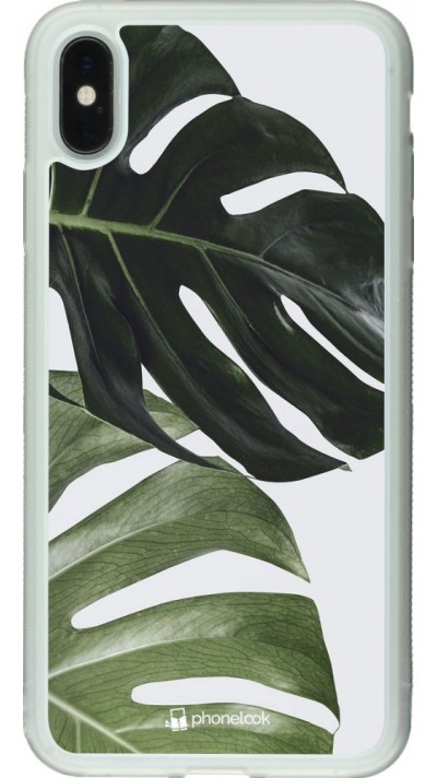 Coque iPhone Xs Max - Silicone rigide transparent Monstera Plant