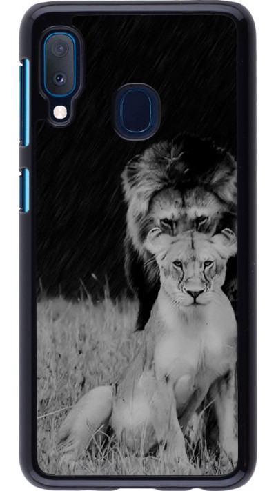 Coque Samsung Galaxy A20e - Angry lions