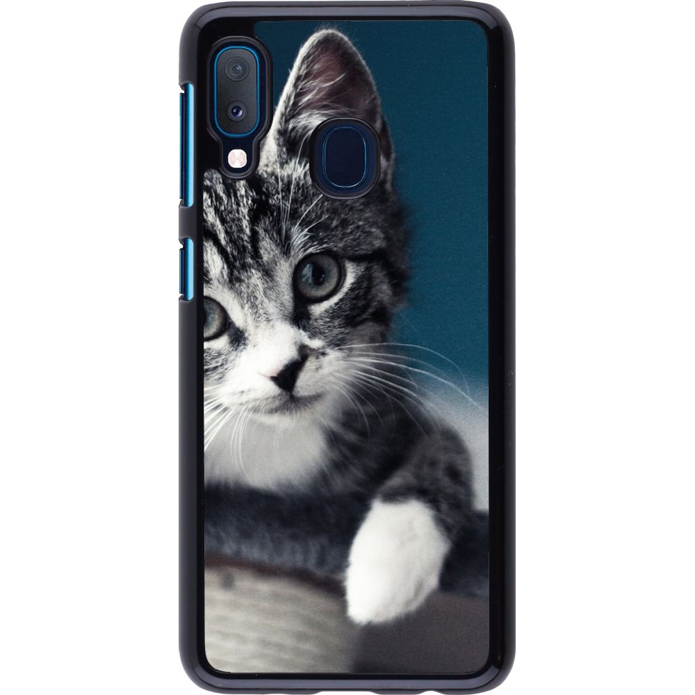 Coque Samsung Galaxy A20e - Meow 23