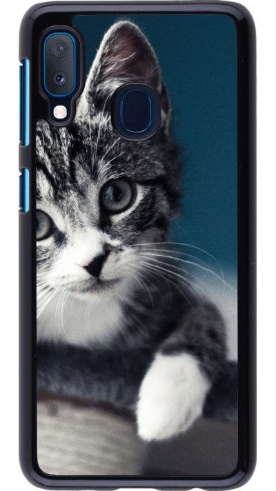 Coque Samsung Galaxy A20e - Meow 23