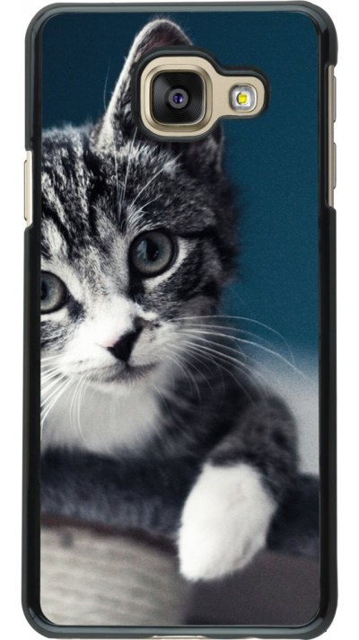 Coque Samsung Galaxy A3 (2016) - Meow 23