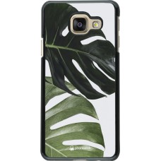 Coque Samsung Galaxy A3 (2016) - Monstera Plant