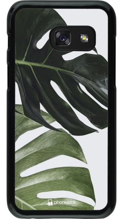 Coque Samsung Galaxy A3 (2017) - Monstera Plant