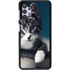 Hülle Samsung Galaxy A32 5G - Meow 23