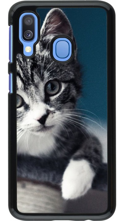 Coque Samsung Galaxy A40 - Meow 23