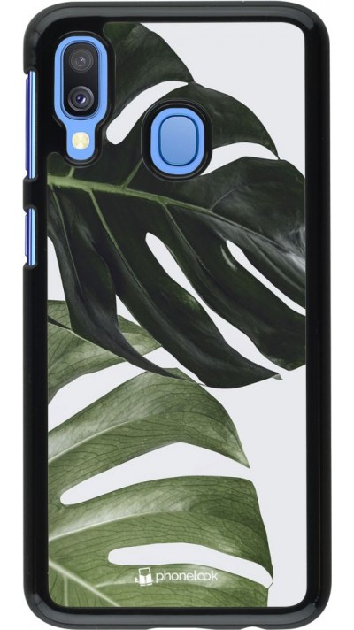 Coque Samsung Galaxy A40 - Monstera Plant